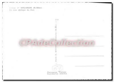 Kolegium w MOLSHEIM (B.-Rhin) — Idyliczny kąt Parku — Foto E. BUCHER — Rewers