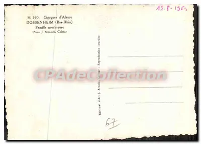 Cigony z Alsacji — Dossenheim (Bas-Rhin) — Wydawnictwo Sztuki J. Arnold, Colmar, nr H 330 — Rewers