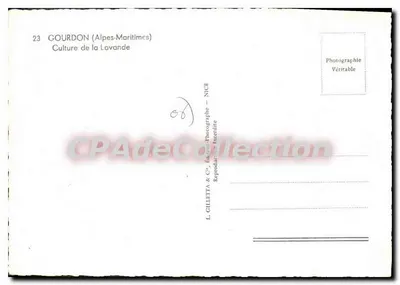格朗东（滨海阿尔卑斯省） — 薰衣草种植 — L. Gilletta & Cie 摄影师 - 尼斯 — 背面