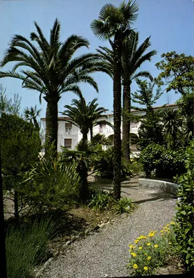 Ogród Domu Przyjęć 'LA CONSOLATA' — Nice — Wydawnictwo Fotograficzne Parc Imperial