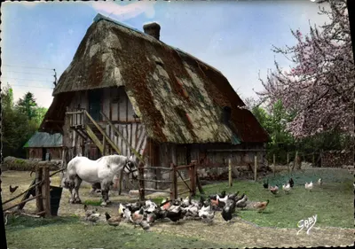Ferme normande — Thatch cottage avec cheval et poules — Éditions Gaby