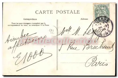 Robinson - Prawdziwy Drzewo — P. JAVELLE, Fot. Robinson — Rewers