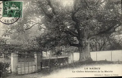 O Carvalho Século da Prefeitura — Le Raincy — Coleção A. Moquet