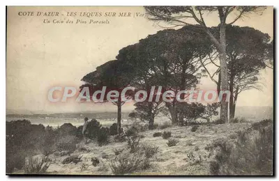 Costa Azul - Les Leques sur Mer (Var) — Um Canto dos Pinheiros-Ciprestes — Editor: Flouy-Antoine, N°83
