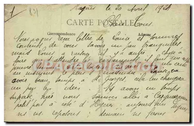 Carqueiranne — Les Salettes à travers les Pins — Bord de Mer — Edit. Riehlaud n°1541 — Verso