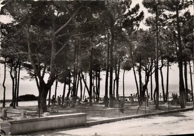 Les Issambres - Aldeia do T.C.F. A Pinède — Cliché A. Sté - Fréjus