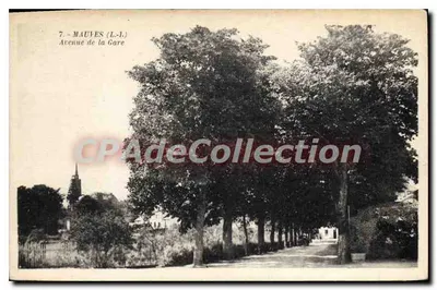Mauves (Loire-Inférieure) — Avenida da Estação — G. Artaud, editor