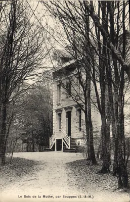 O Bois de la Mothe, por Souppes (S.-&-M.)
