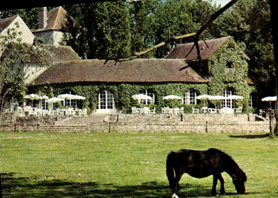 Château Royal du Vivier — Restaurant et discothèque — éditeur S.E.R.P. - Photo Pluissy