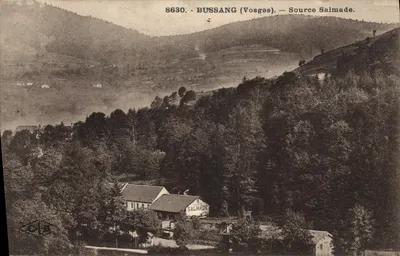 Bussang (Vosges) — Quelle Salmade — Verlag C. Lédié, Nr. 8630