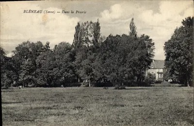 Bléneau (Yonne) — Na Pradaria — Edição Coupal