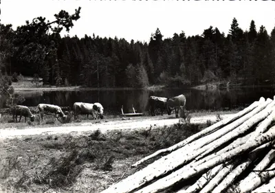 St GERMAIN L'HERM (1000m) — Estação turística - Lago do Fangonnet — Foto H. Pouyel
