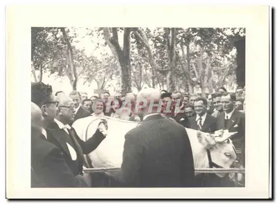 FOTO Offizielle Reise von Herrn dem Präsidenten der Republik Dijon Macon 15. und 16. Mai 1948 Auriol nach Macon Messe