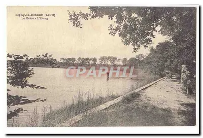 Ligny-le-Ribault (Loiret) — Le Briou - L'Élang