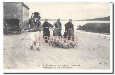 Custumes, modos e trajes bretones Bilhete postal antigo Depart para le amrche (Plougastel) (ovelhas) (reprodução)