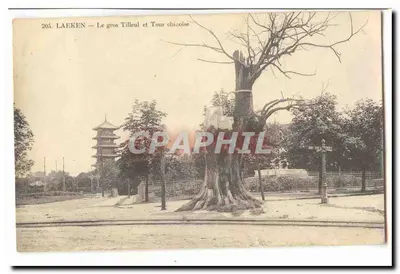 Laerken — O grande Tilho e Torre Chinesa