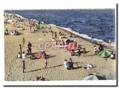 Praia animada — vista aérea — PAP