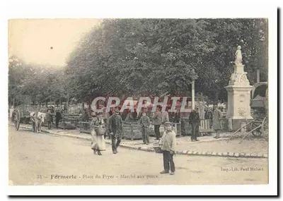 Formerie Bilhete postal antigo Place du foyer Marche aux porcs TOP (pigs cochons cochon pig)
