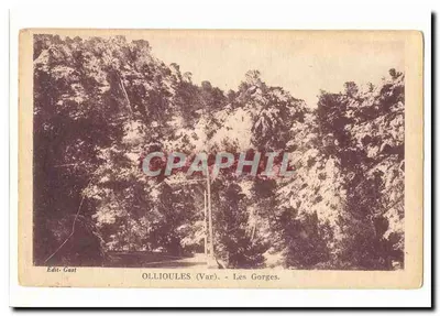 Ollioules (Var) — As Gorges — Edit. Gart
