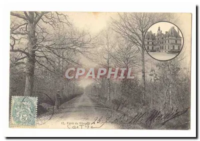 Floresta de Vihiers — Caminho cercado por árvores nuas — Editor: Carte 12