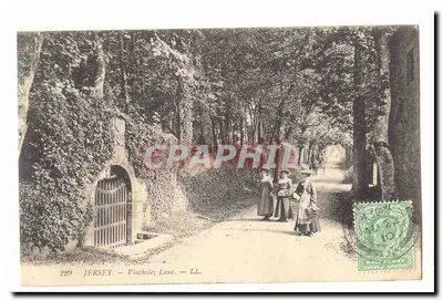 Jersey — Finchelez Lane — LL. — n° 220
