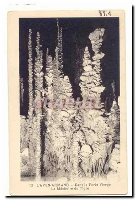 L'Aven-Armand — A Mandíbula do Tigre — Na Floresta Virgem