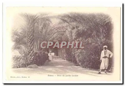 Biskra — Avenida do jardim Candon — Maure, fot., Biskra 67