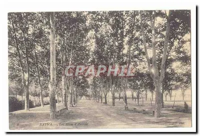 Batna — As Avenidas Pâumali — ND Pba