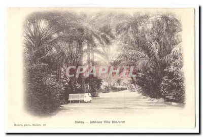 Biskra — Interior da Villa Bénévent — Maure, fot., Biskra 49