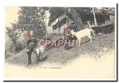 İki Adam ve Keçiler — Champéry — J.J. 3097
