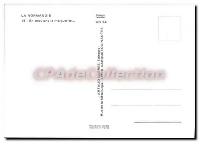 Normandische landelijke landschap — koeien onder bloeiende kersenbomen — CPAdeCollection — Achterkant