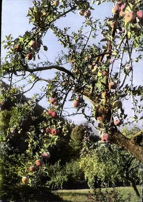 Promenade à l'automne dans le ROUSSILLON — Éditions S.L. 157, avenue des Frères Lumière - Lyon