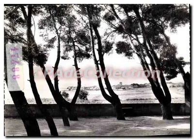 Le Bassin de Thau — MEZE (Hérault) — Éditions S. Frères, Lyon