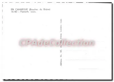 Camargue (Bouches-du-Rhône) — Flamingi — Wydawnictwo S.L. Lyon — Rewers