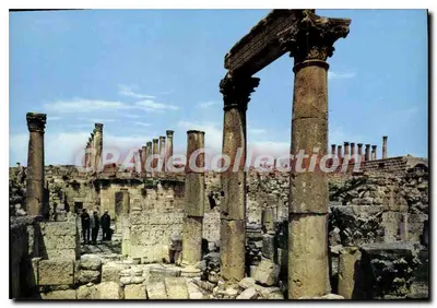 Ruínas antigas de Jerash — Jordânia — Zkaili Library, Amman