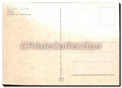 Desert Guide of the Wüstenschutz — ZAMALI TRADING AGENCIES — n° 987/135 — Back