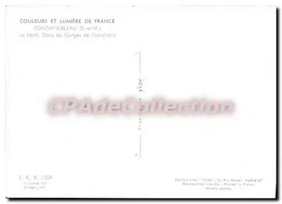 森 — フランシャール峡谷の中 — アート版画イヴォン — 裏面