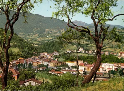 Porretta Terme — vue générale du village en contrebas de collines boisées — Éditeur DVB