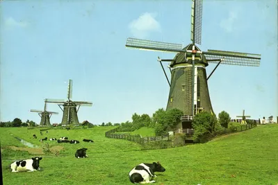 Moinhos de vento — Leidschendam, Holanda — Coleção Euro Color