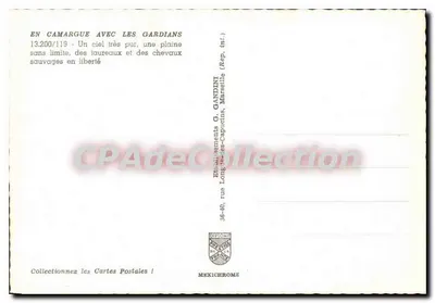 Camargue avec les Gardians — 13.200/119 — Édition G. Gandini, Marseille — Verso