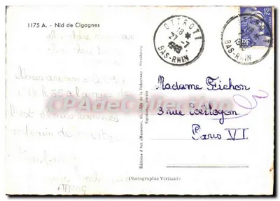 Gniazdo kruków — Alzacja — Marasco — Rewers