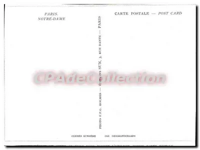 Notre-Dame de Paris — Ansicht eingerahmt von Bäumen — Éditions Holmes — Rückseite