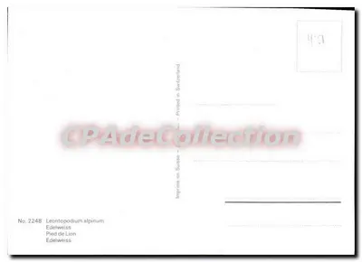 Edelweiss — Leontopodium alpinum — Impresso na Suíça - No. 2248 — Verso