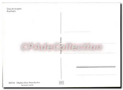 Galo de bruyère — Auerhahn — Edição Deniau Baulme, n° 307/14 — Verso