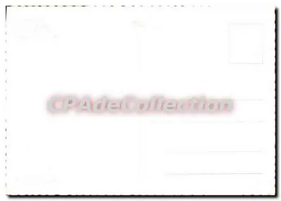 Águia real — ninho em uma cavidade rochosa — CPAdeCollection — Verso