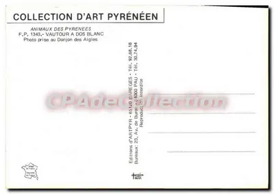 Águia-branca — Animais dos Pirineus — Éditions d'Art Pyrénéen — Verso