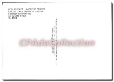 Mimosenblüte an der Côte d'Azur — Éditions Jean-Jauré Arcuël, Serie 10/9194 — Rückseite