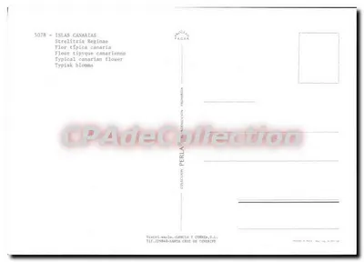 Ave sobre una flor de Strelitzia — Islas Canarias — Edición PERLA — Reverso