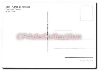 Strelitzia — BLADEN VAN TENERIFE — Edities Gasteiz n°2.959 — Achterkant