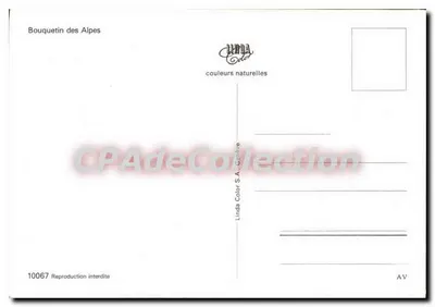 Bouquetin des Alpes — Marcel Proust (1871-1922) — Linda Color S.A. - 10067 — Verso